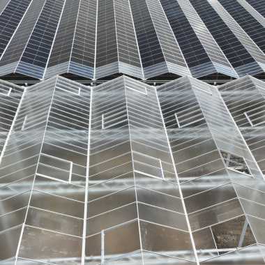 Havecon | Royal Pride - Phase 5A