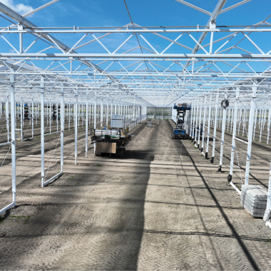 Havecon | Royal Pride - Phase 5A