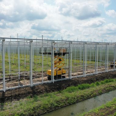 Havecon | Greenbrothers VOF - Phase 2