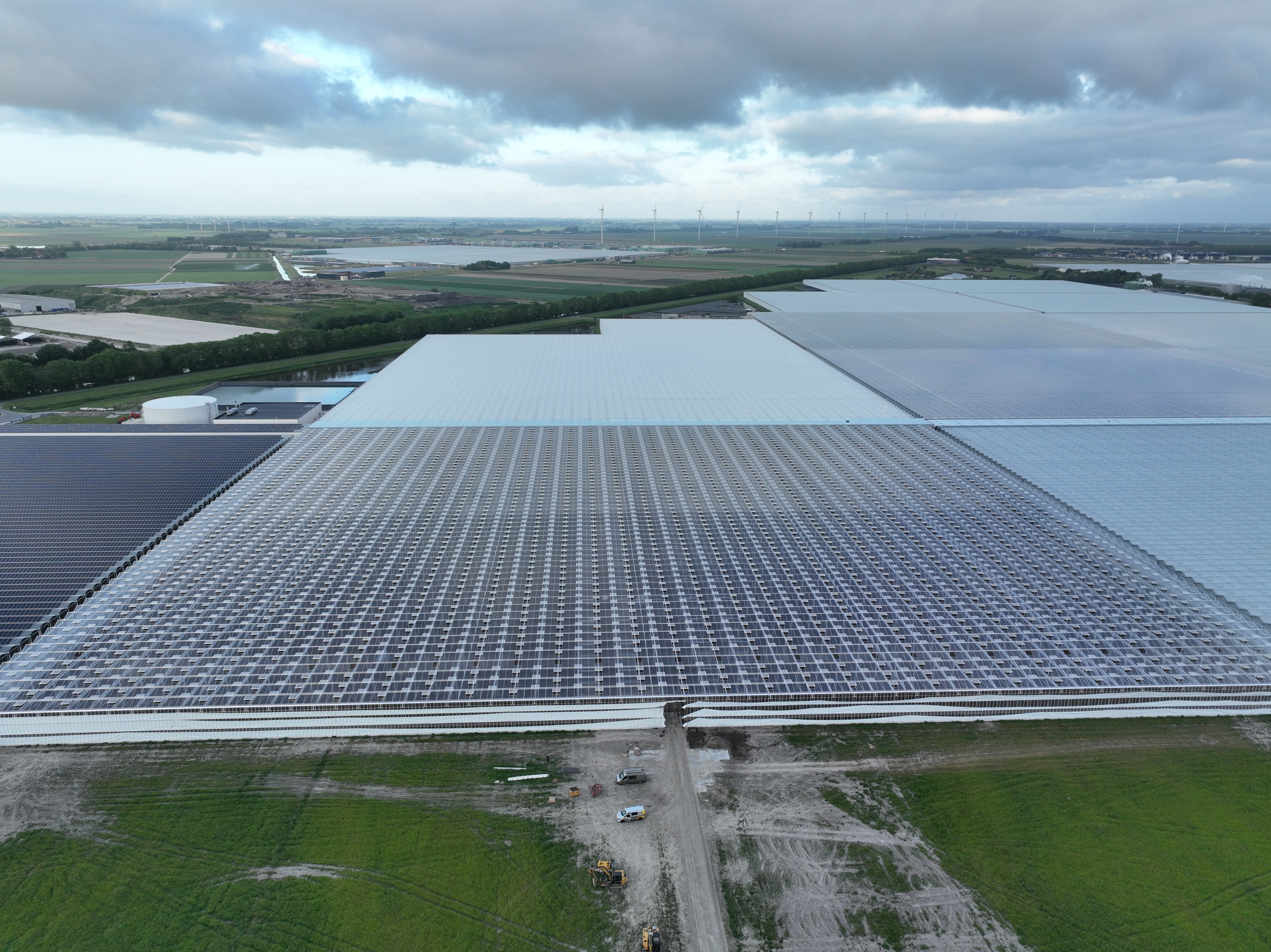 Havecon | Royal Pride - Phase 5A