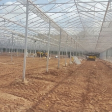 Havecon-Forestry-Commision-Delamere-Nursery 005