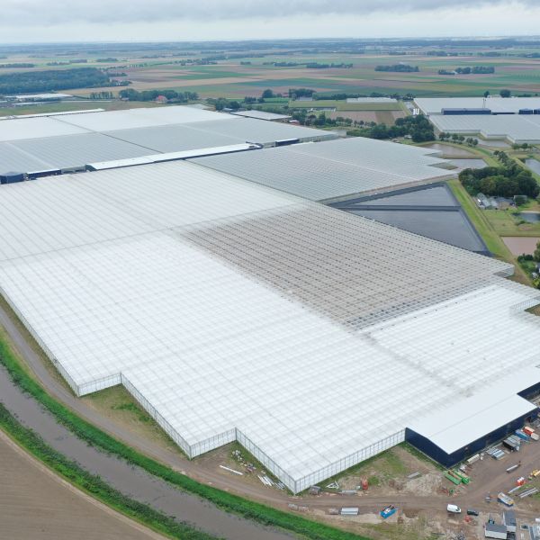 Hoogweg Paprikakwekerijen - Phase 5