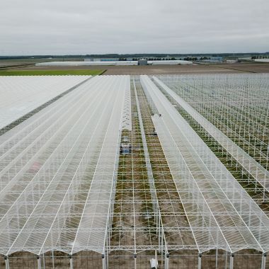 Havecon_Agrocare_Kassenbouw