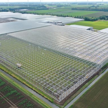 Havecon | Greenbrothers VOF - Phase 2