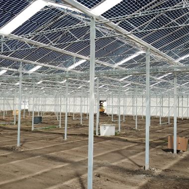 Havecon_Greenhouse