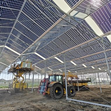 Havecon_Greenhouse