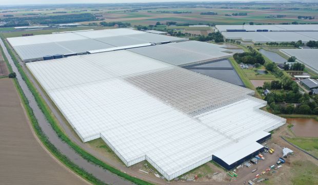 Hoogweg Paprikakwekerijen - Fase 5