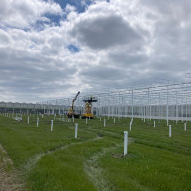 Havecon_Agrocare_Kassenbouw