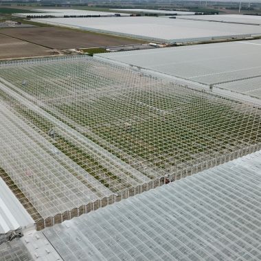 Havecon_Agrocare_Kassenbouw