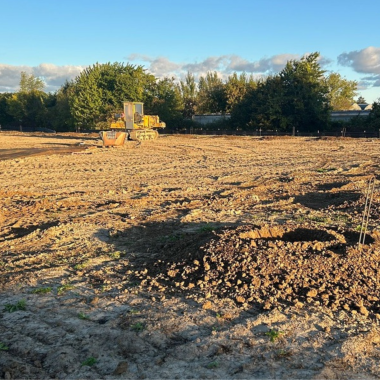 Havecon | Flora Pack - Fase 2