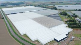 Hoogweg Paprikakwekerijen - Fase 5